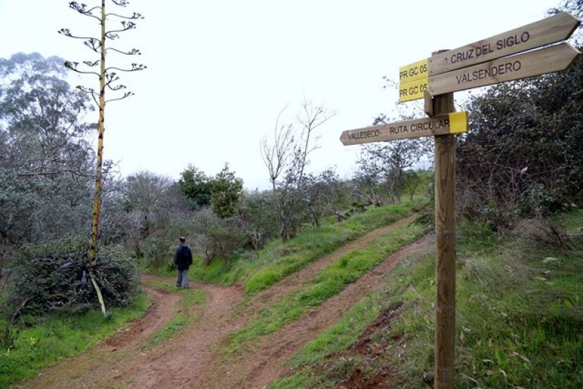 Valleseco: Primera Ruta de Senderismo para toda la familia