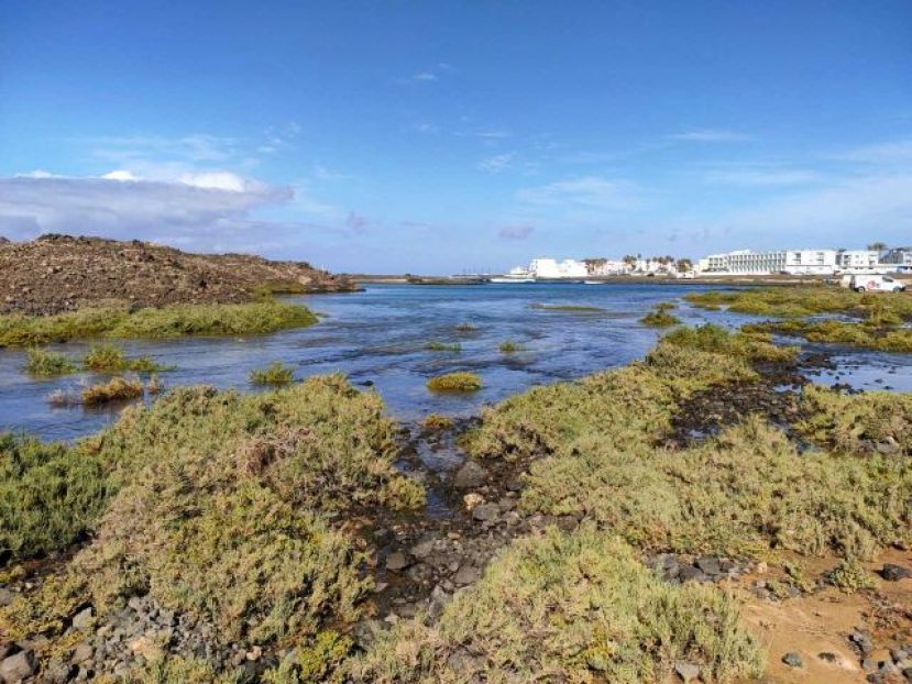Transici&oacute;n Ecol&oacute;gica culmina un estudio sobre los saladares de Canarias