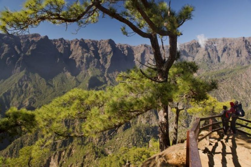 Canarias convoca las pruebas de 2021 para obtener el carn&eacute; de gu&iacute;a de turismo y ampliar idiomas en los habilitados