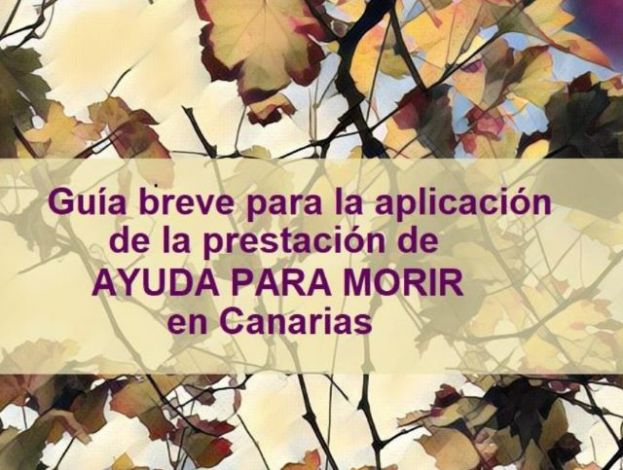 Sanidad informa en su web sobre el derecho a la eutanasia y el procedimiento de aplicaci&oacute;n