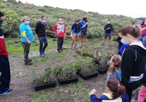 Arucas: Repoblaci&oacute;n forestal de 200 &aacute;rboles nuevos en Tiro Pich&oacute;n