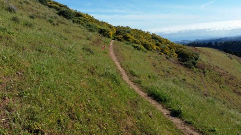 Gu&iacute;a: El pr&oacute;ximo s&aacute;bado ser&aacute; la 5&ordf; Carrera Nocturna de Monta&ntilde;a Ciudad de Gu&iacute;a