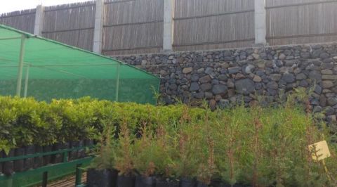 La Gomera: Modernizaci&oacute;n de un espacio formativo en el vivero forestal Cruz Chiquita