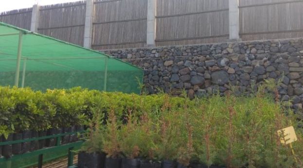 La Gomera: Modernizaci&oacute;n de un espacio formativo en el vivero forestal Cruz Chiquita