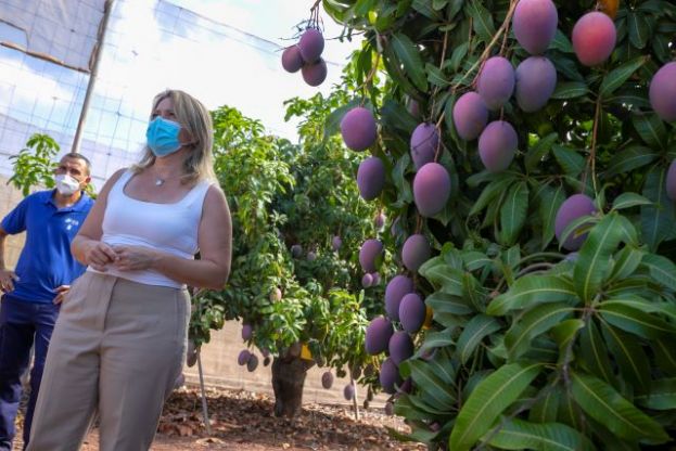 El Gobierno canario abona 4,2 millones en ayudas agroambientales a m&aacute;s de 1.000 agricultores y ganaderos