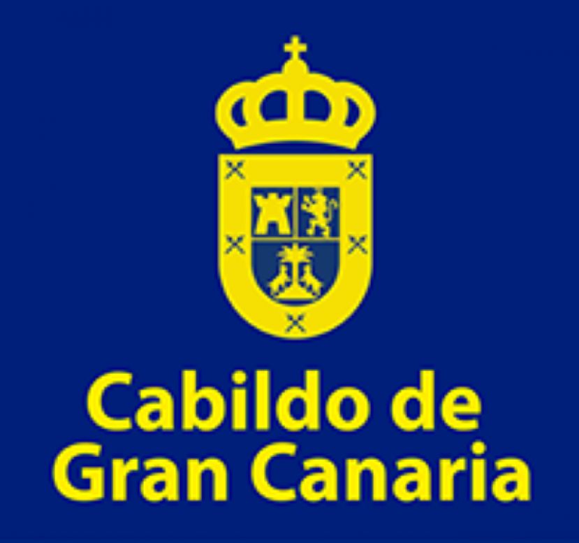 El Cabildo aclara que sus alegaciones sobre los parques e&oacute;licos marinos se circunscribir&aacute;n a Gran Canaria