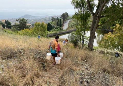 Firgas: Regados m&aacute;s de setecientos &aacute;rboles de Laurisilva y Term&oacute;filo en la Monta&ntilde;a