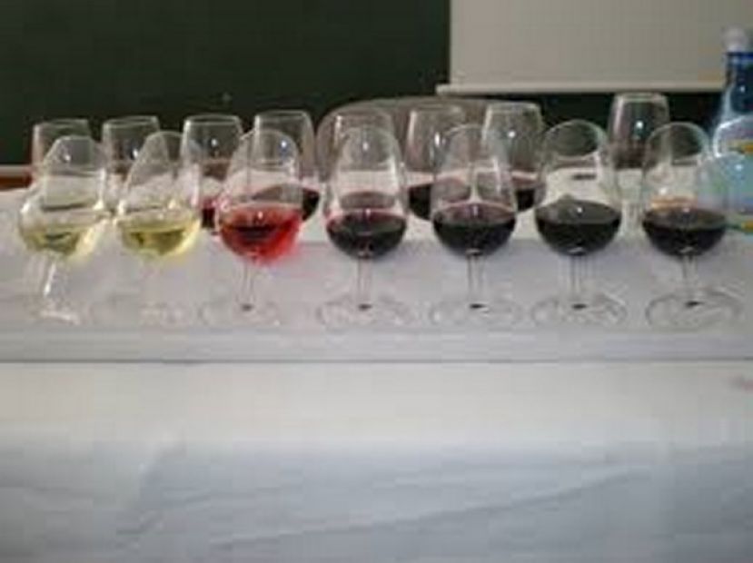 Gu&iacute;a: &ldquo;Curso de Iniciaci&oacute;n de Cata de Vino&rdquo;