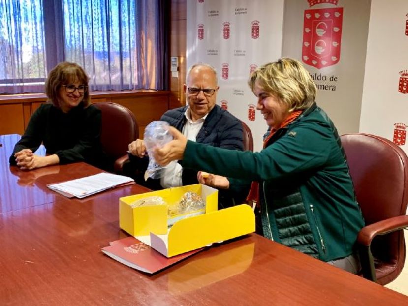 El Cabildo promueve la instalaci&oacute;n de desfibriladores en los municipios gomeros