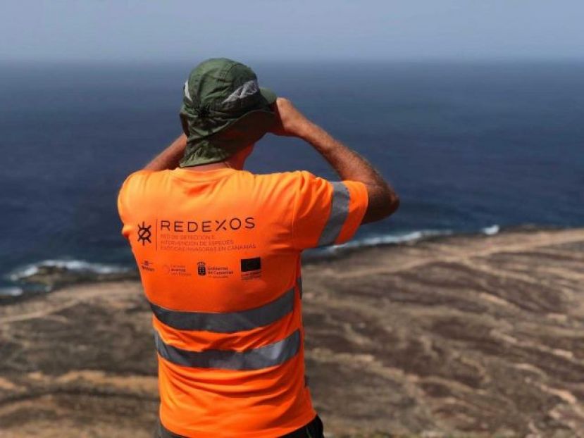 El Gobierno de Canarias mejora la aplicaci&oacute;n m&oacute;vil RedEXOS para detectar e intervenir especies ex&oacute;ticas