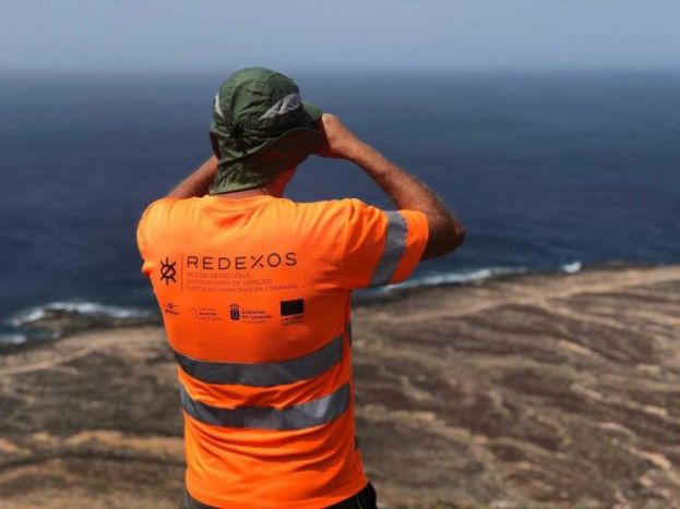 El Gobierno de Canarias mejora la aplicaci&oacute;n m&oacute;vil RedEXOS para detectar e intervenir especies ex&oacute;ticas