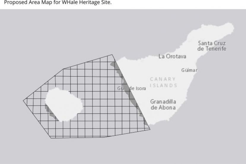 Preocupaci&oacute;n por la protecci&oacute;n de los cet&aacute;ceos en el suroeste de Tenerife