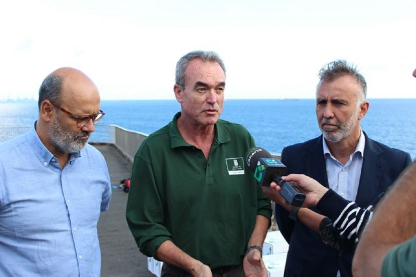 Un millar pardelas se prev&eacute; salvar en la campa&ntilde;a de recogida del Cabildo