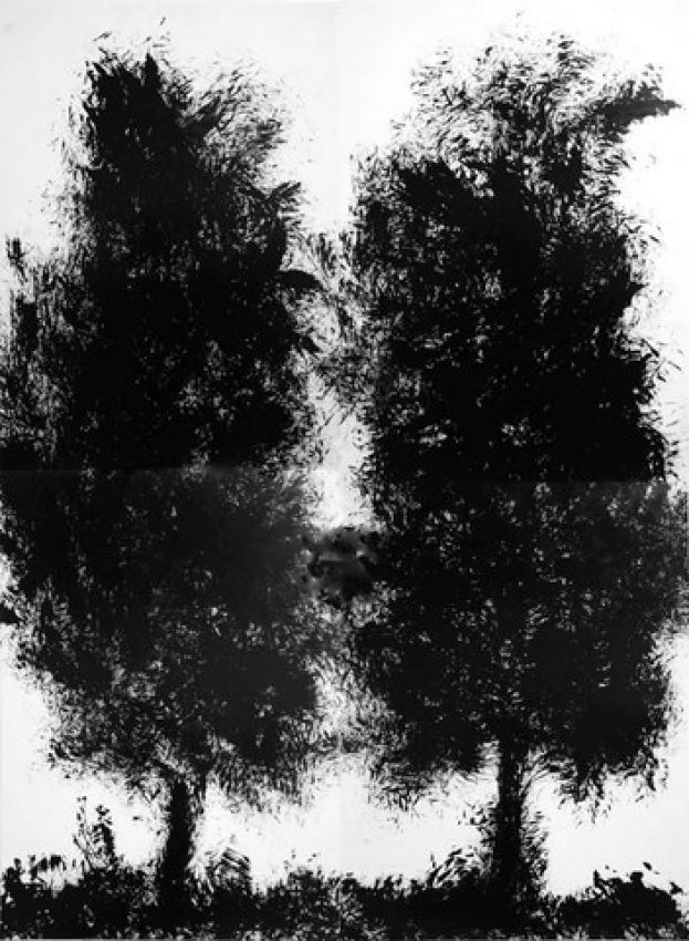 Arucas: Exposici&oacute;n de Jos&eacute; H. Afonso, &lsquo;Heshan, r&iacute;o y monta&ntilde;a&rsquo;,