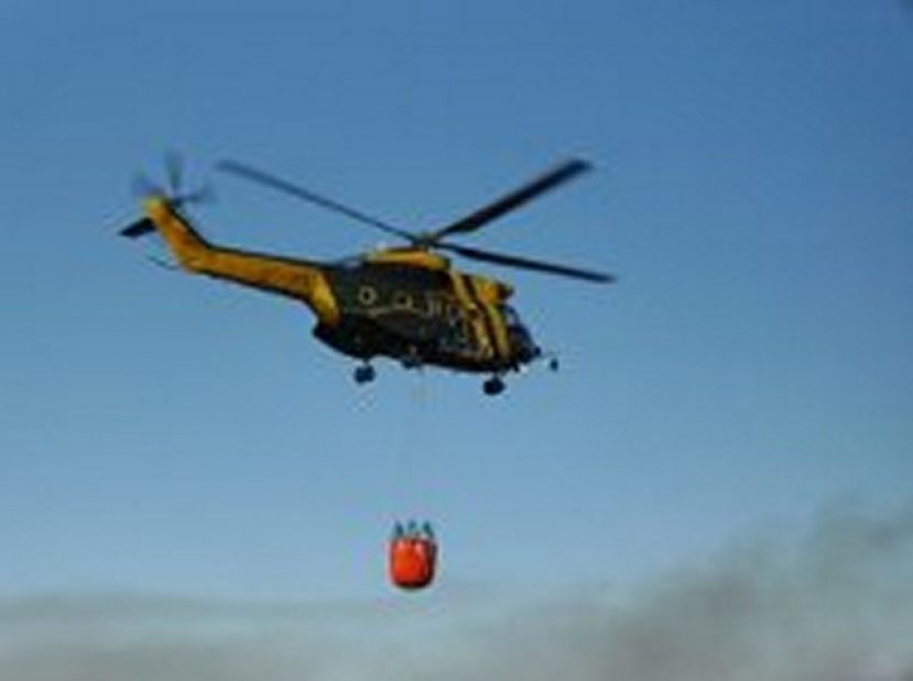La ACEC reclama una verdadera pol&iacute;tica preventiva de incendios
