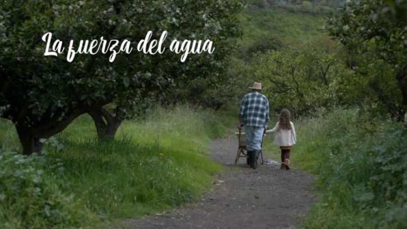 El Gobierno de Canarias pone en valor &lsquo;La fuerza del agua&rsquo; para conmemorar el d&iacute;a mundial de este recurso natural