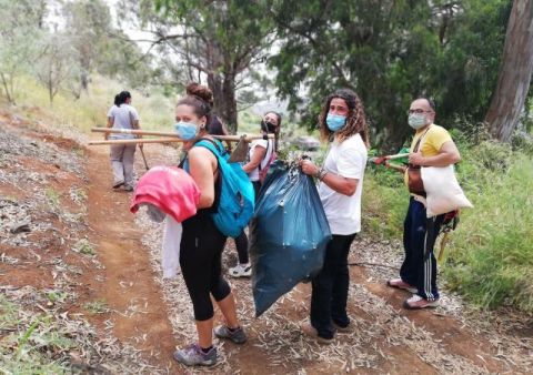 Exitosa acci&oacute;n de control y eliminaci&oacute;n de plantas invasoras en la Monta&ntilde;a de Firgas