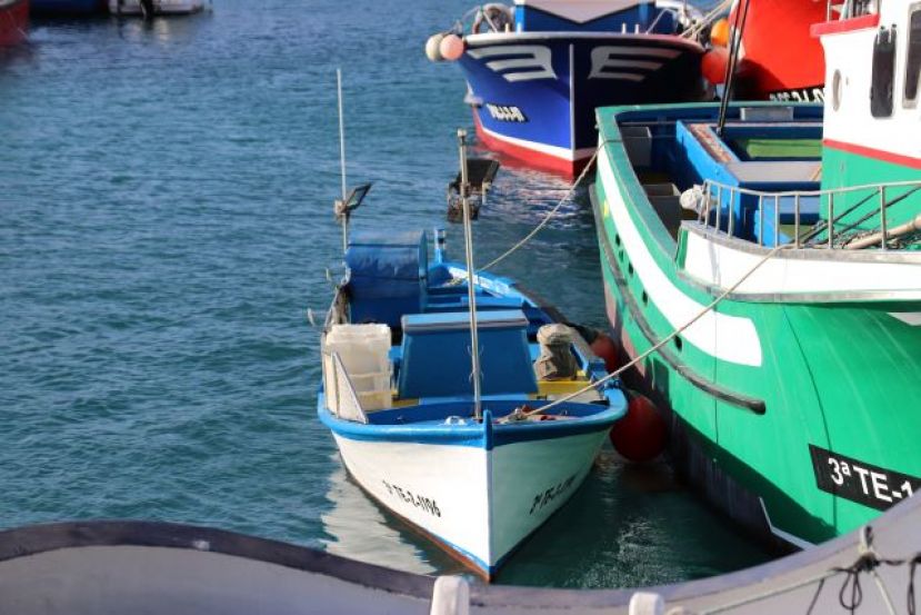 El Gobierno canario convoca ayudas valoradas en 242.000 euros para el equipamiento de las cofrad&iacute;as de pescadores