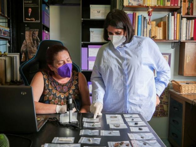 El Gobierno impulsa una investigaci&oacute;n in&eacute;dita sobre objetos hist&oacute;ricos de Canarias