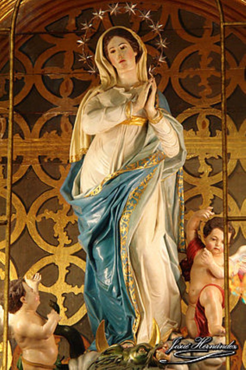 Hoy, d&iacute;a de La Inmaculada Concepci&oacute;n Patrona de Espa&ntilde;a y de su Infanter&iacute;a