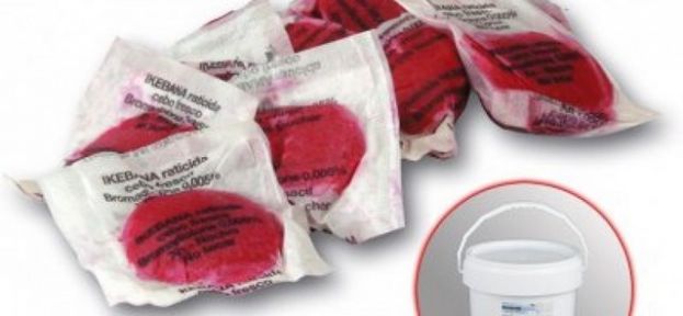 G&aacute;ldar: La concejal&iacute;a de Sanidad informa de la campa&ntilde;a de raticidas