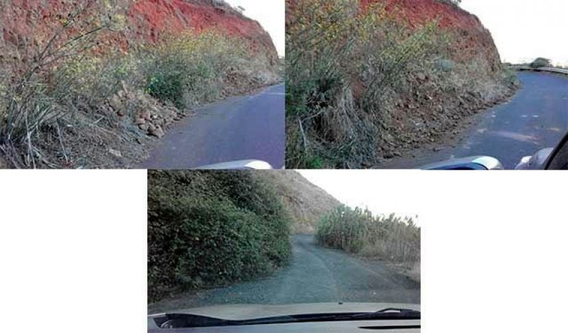 El PP insta al BNR-NC a reparar y limpiar las carreteras de las median&iacute;as de G&aacute;ldar