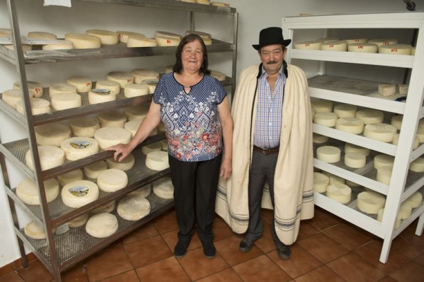 Gu&iacute;a: Este domingo se celebra la 2&ordf; parte de la Fiesta del Queso en Monta&ntilde;a Alta