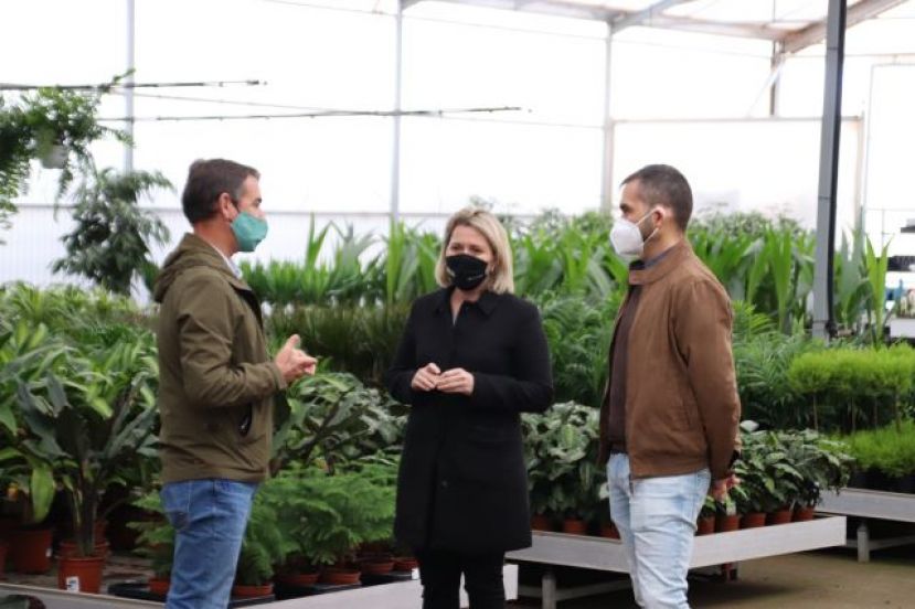Agricultura abona casi un mill&oacute;n de euros para compensar los da&ntilde;os de la pandemia en el sector de la flor cortada