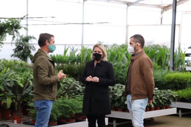 Agricultura abona casi un mill&oacute;n de euros para compensar los da&ntilde;os de la pandemia en el sector de la flor cortada