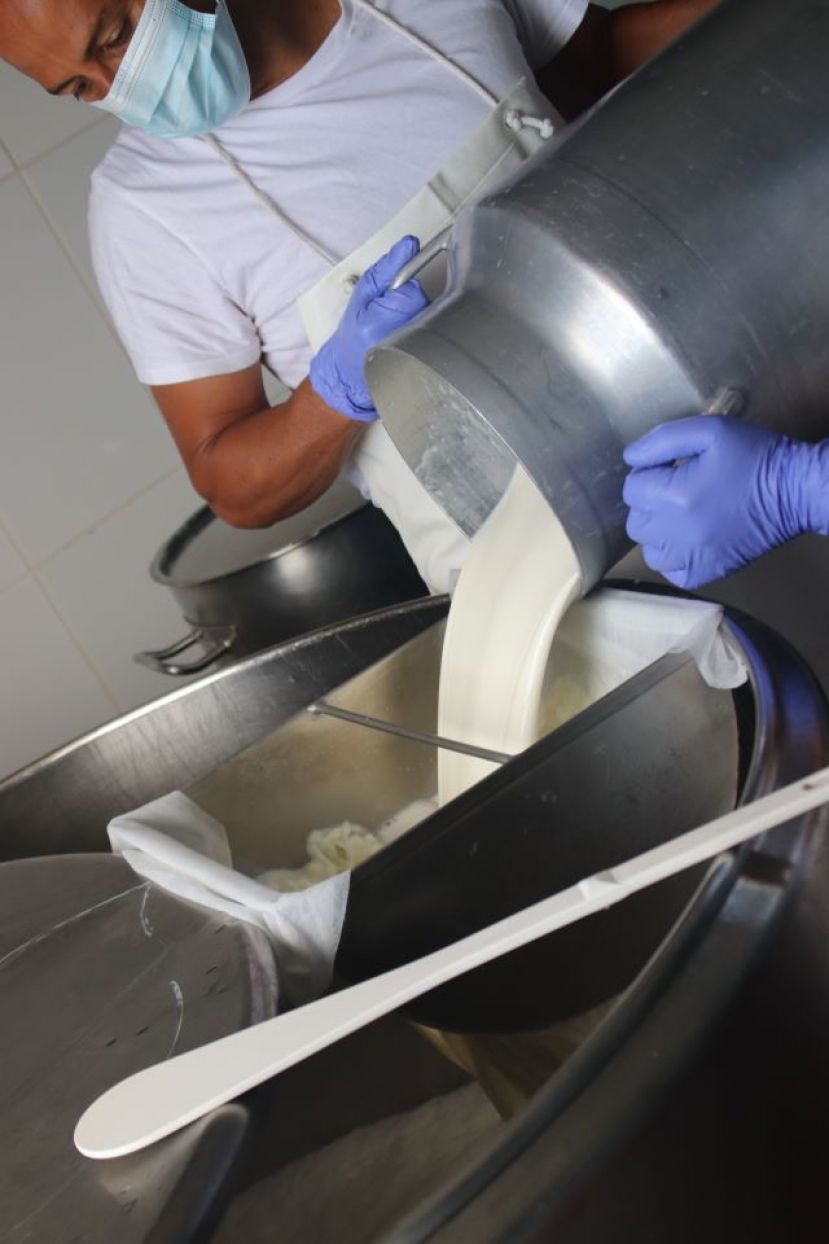 Ayudas a la industria l&aacute;ctea y a los productores de leche de vaca, cabra y oveja