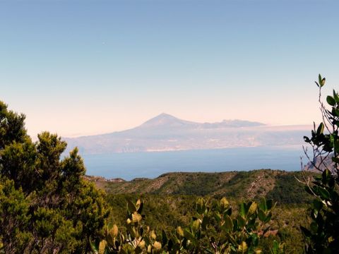 El Gobierno de Canarias sin rumbo en materia cineg&eacute;tica