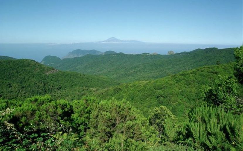 La Gomera: M&aacute;s de 9 millones de euros en la recuperaci&oacute;n del medioambiente