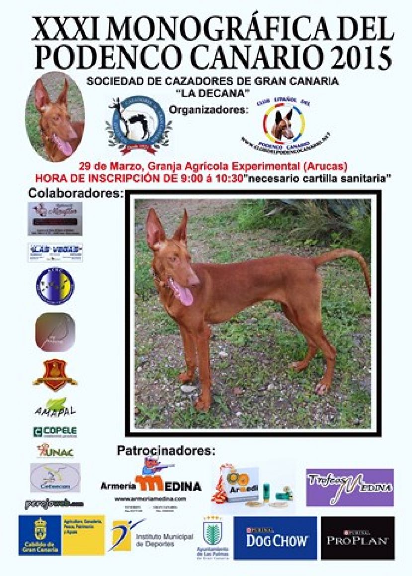 Caza: Exposici&oacute;n de perros podencos y de muestra