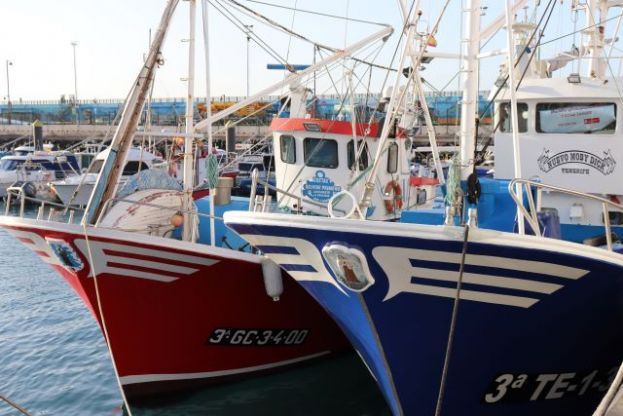 La Consejer&iacute;a redoblar&aacute; sus esfuerzos para que pueda ser incrementada la cuota de tuna asignada al sector pesquero canario