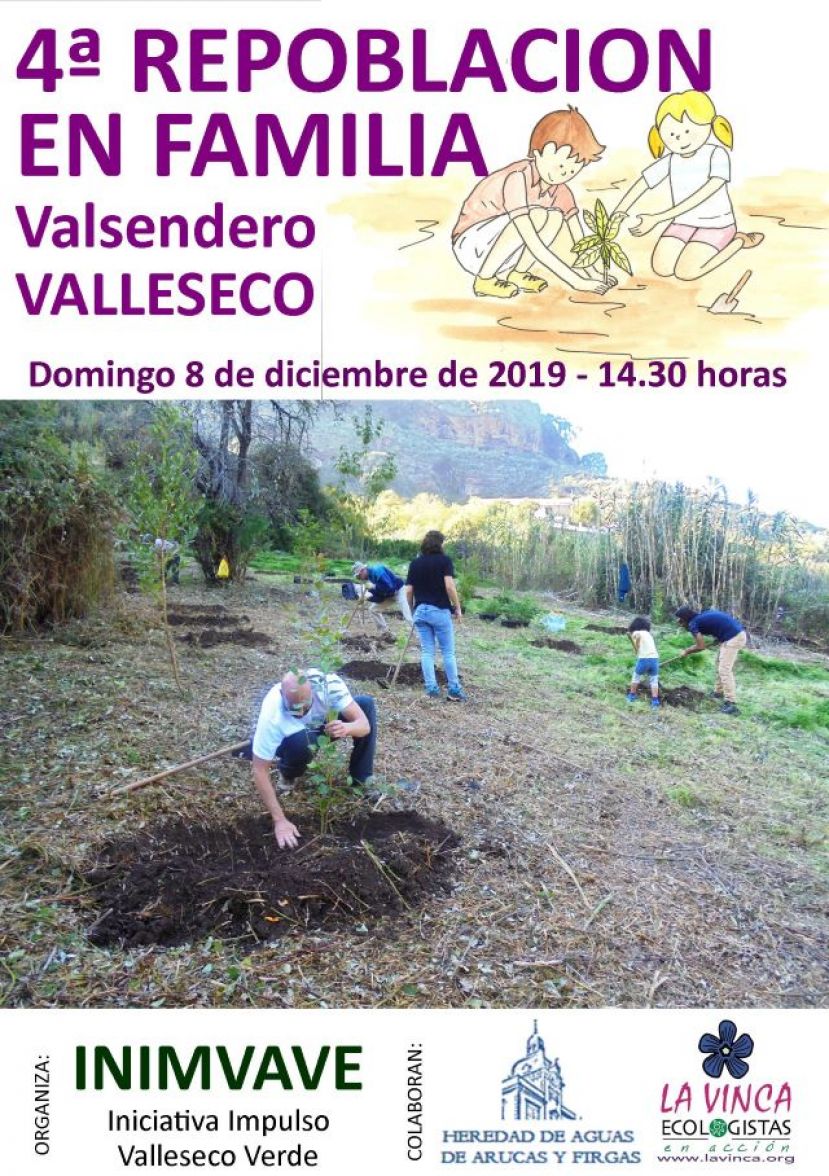 Valleseco: Valsendero acoge el domingo una repoblaci&oacute;n forestal de laurisilva