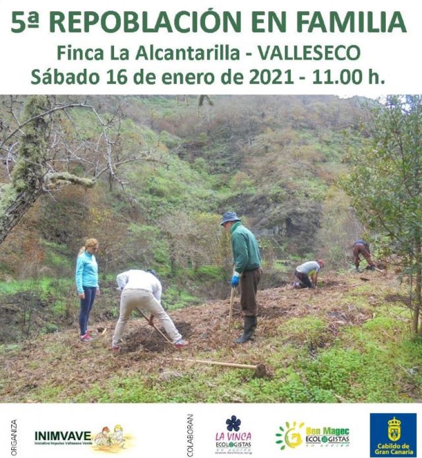 Valleseco: Repoblaci&oacute;n forestal el s&aacute;bado 16 de enero  en la Finca La Alcantarilla