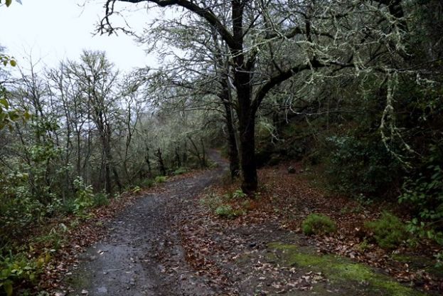 Valleseco: Ven a conocer la zona volc&aacute;nica