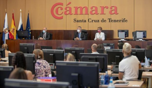 El Gobierno de Canarias culmina el abono de los 87,4 millones de ayudas auton&oacute;micas a 15.038 pymes y aut&oacute;nomos