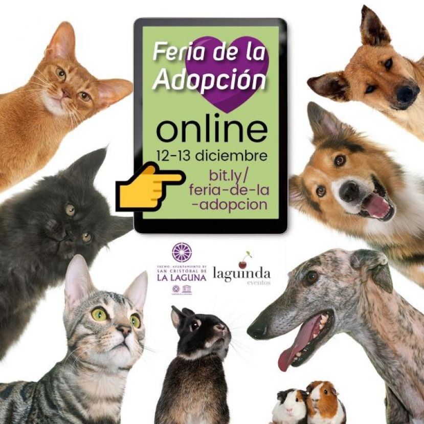 La Laguna: La Feria de la Adopci&oacute;n animal ser&aacute; en diciembre y cien por cien &ldquo;virtual&rdquo;