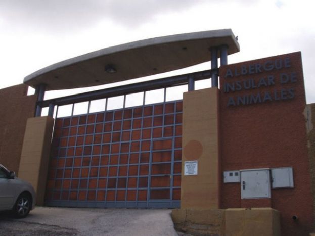 Se ampl&iacute;a el personal y horario de atenci&oacute;n del Albergue Insular de Animales