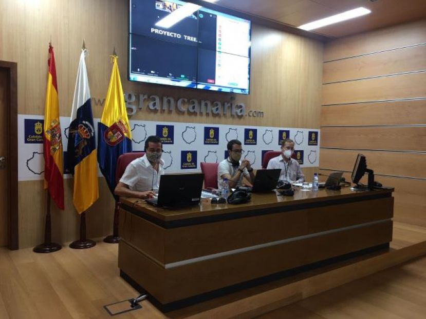 Reforestaci&oacute;n de la laurisilva con 75 hect&aacute;reas m&aacute;s en 4 a&ntilde;os