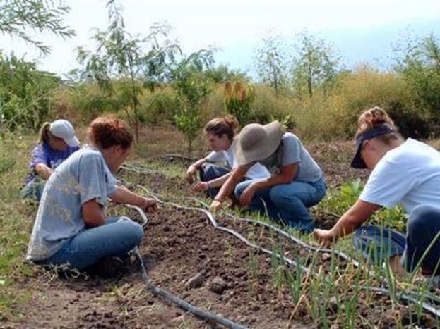 Gu&iacute;a: Asoflor pone en marcha un proyecto para crear un Aula de la Naturaleza