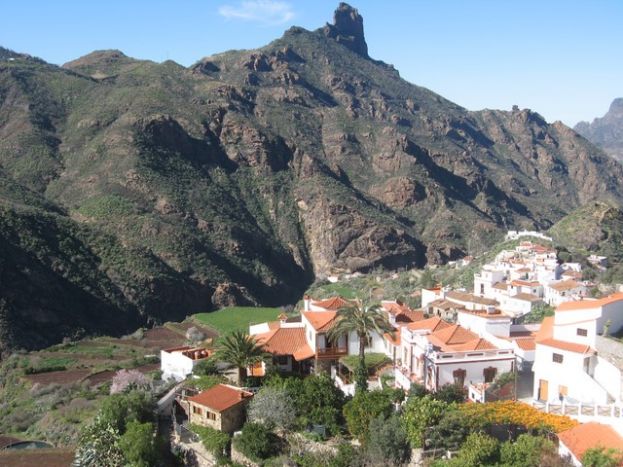 Tejeda: Exposici&oacute;n &lsquo;Los usos culturales de las plantas silvestres en Gran Canaria&rsquo;