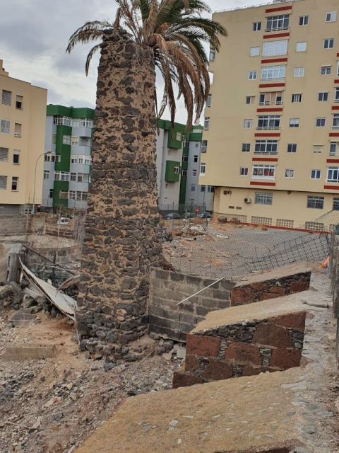 Los ecologistas requieren una actuaci&oacute;n de emergencia del Ayuntamiento de Telde