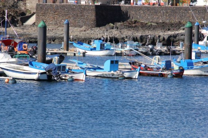 El Gobierno canario concede 7,7 millones para los operadores de pesca artesanal, industrial y la acuicultura