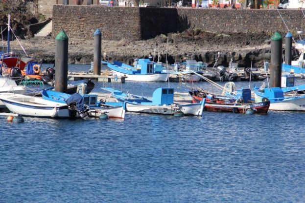 El Gobierno canario concede 7,7 millones para los operadores de pesca artesanal, industrial y la acuicultura