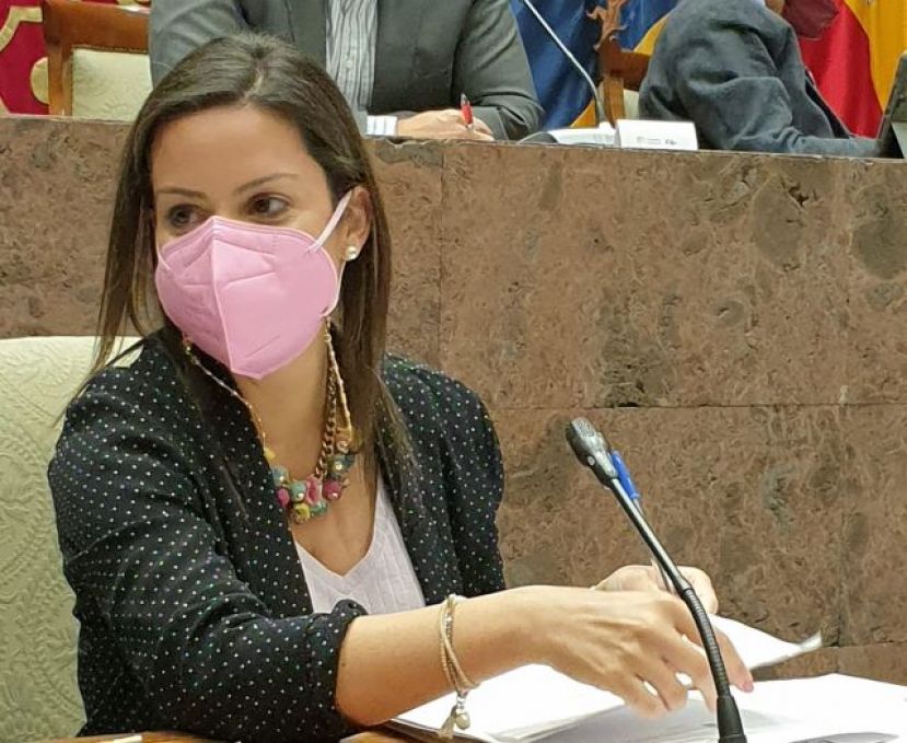 Turismo de Canarias fomentar&aacute; los viajes entre islas con un presupuesto sin precedentes de 1,1 millones de euros