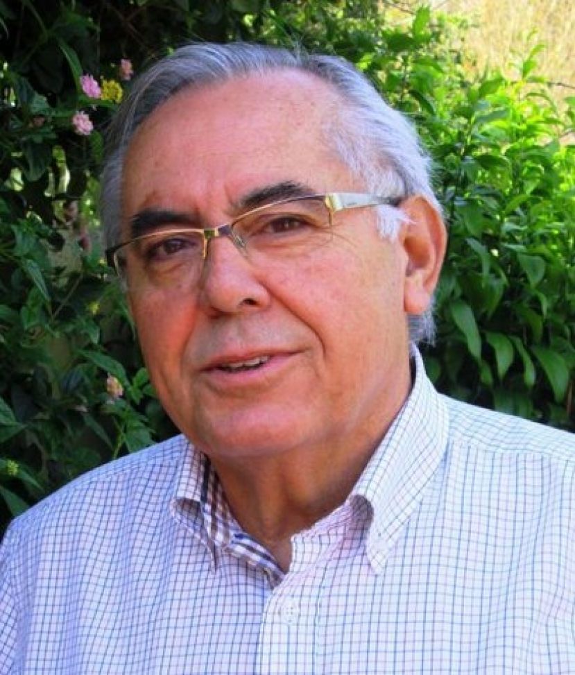 Gu&iacute;a: Nueva Canarias aprueba su candidatura electoral