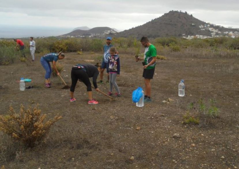 Arucas cuenta con 350 &aacute;rboles nuevos plantados en la zona del Tiro Pich&oacute;n