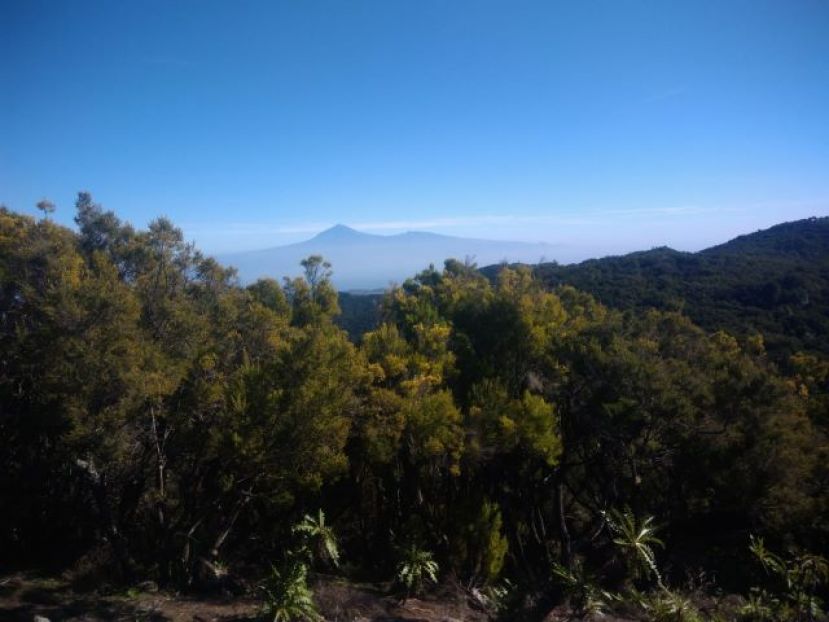 El Cabildo de La Gomera solicita precauci&oacute;n ante la alerta por riesgo de incendio forestal